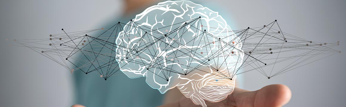 Créatine et santé cérébrale :Bénéfices cognitifs et neurologiques